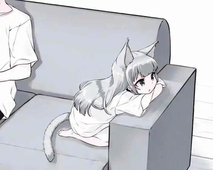 西檬之家s属性是什么意思? 一
