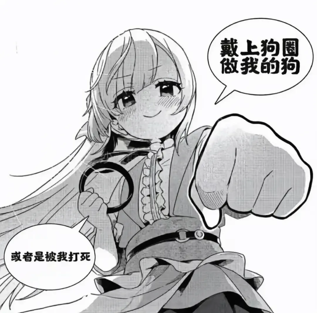 西檬之家K8是什么?字母圈猫奴属性解析 一