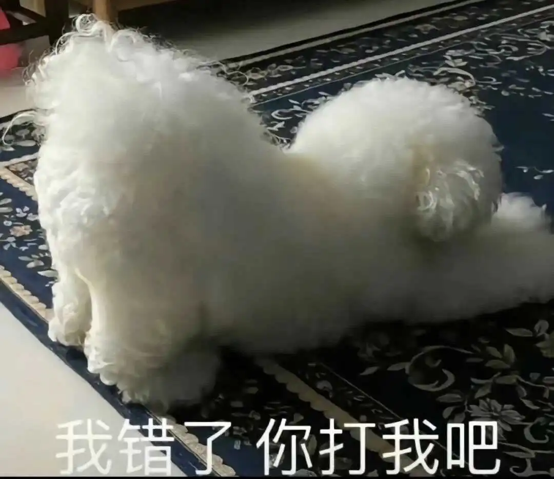 西檬之家k9犬系是什么? 一
