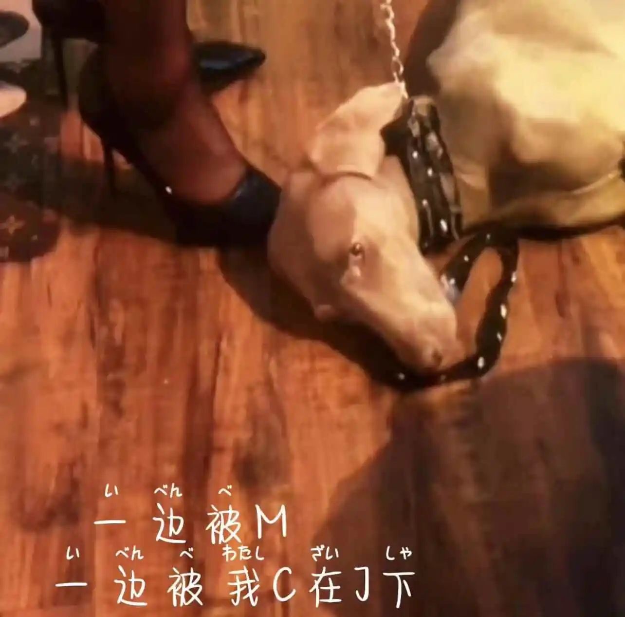 西檬之家BDSM安全实践指南:SSC原则与新人必读 一