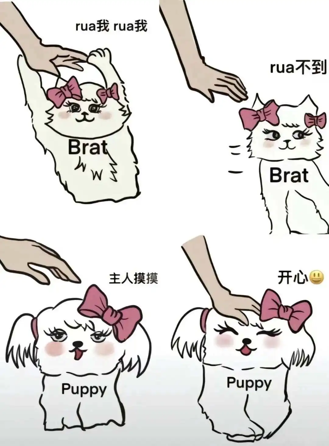 西檬之家字母圈入圈新手指南? 一