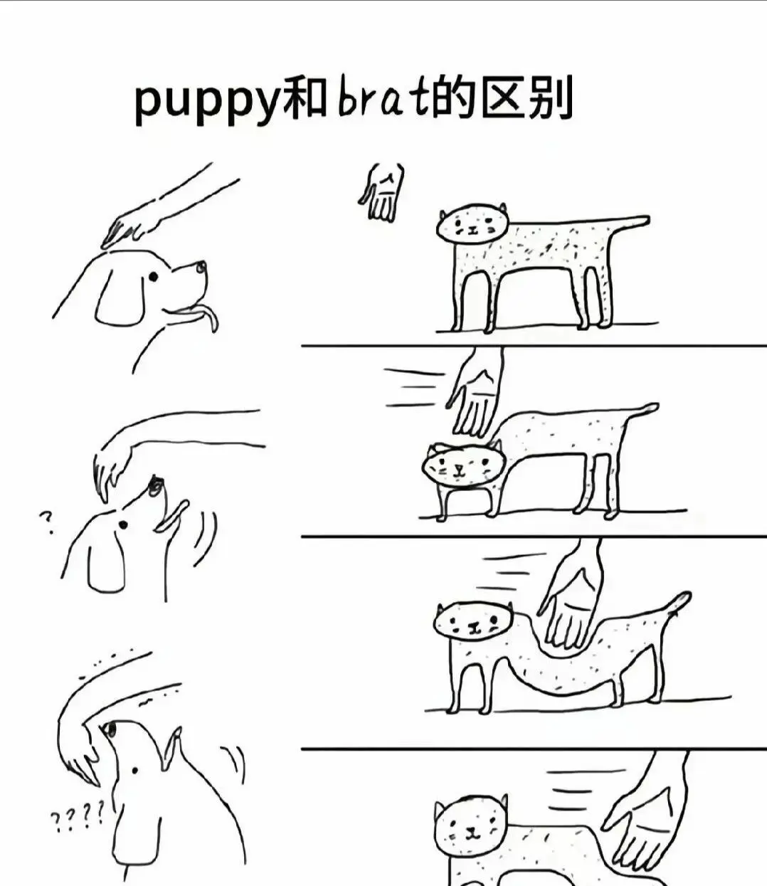 西檬之家字母圈Spank实践指南 一