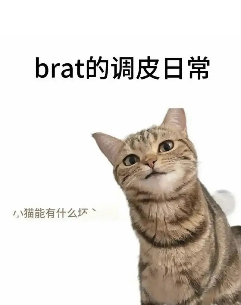 西檬之家Sp打屁股入门指南 一