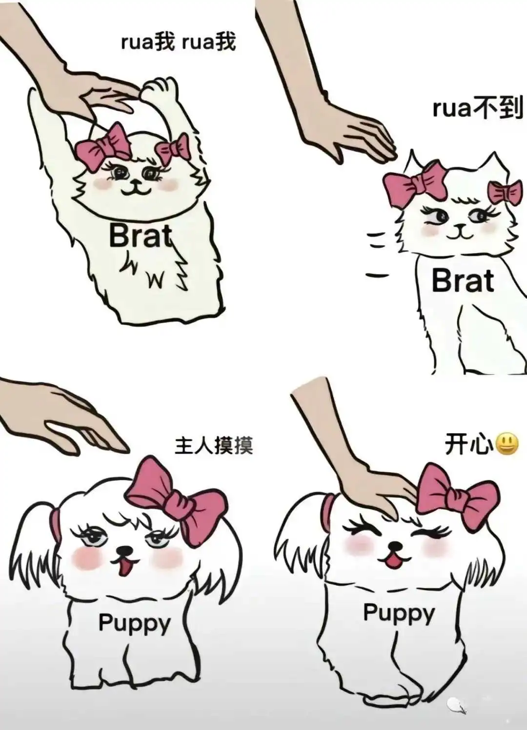 西檬之家斯慕圈入门:懂SSC原则是关键 一