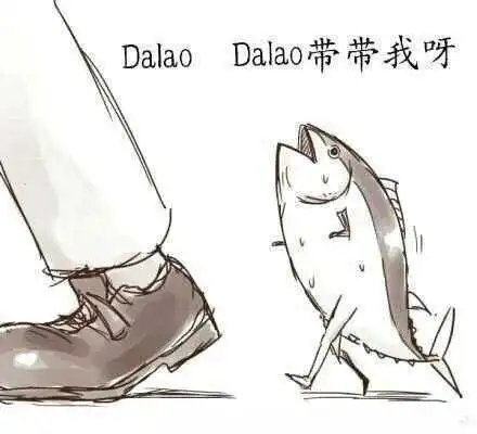 西檬之家k8猫系是什么?字母圈新人属性解析 一