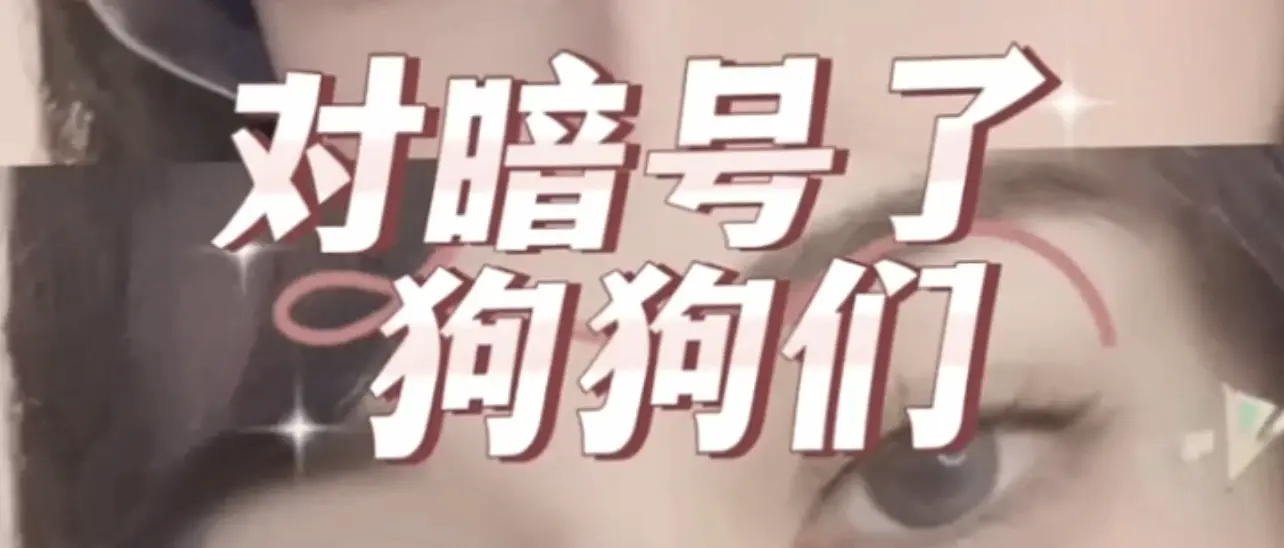 西檬之家字母圈管教是什么意思? 一